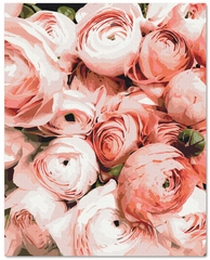 Картина по номерам. Персиковые пионовидные розы