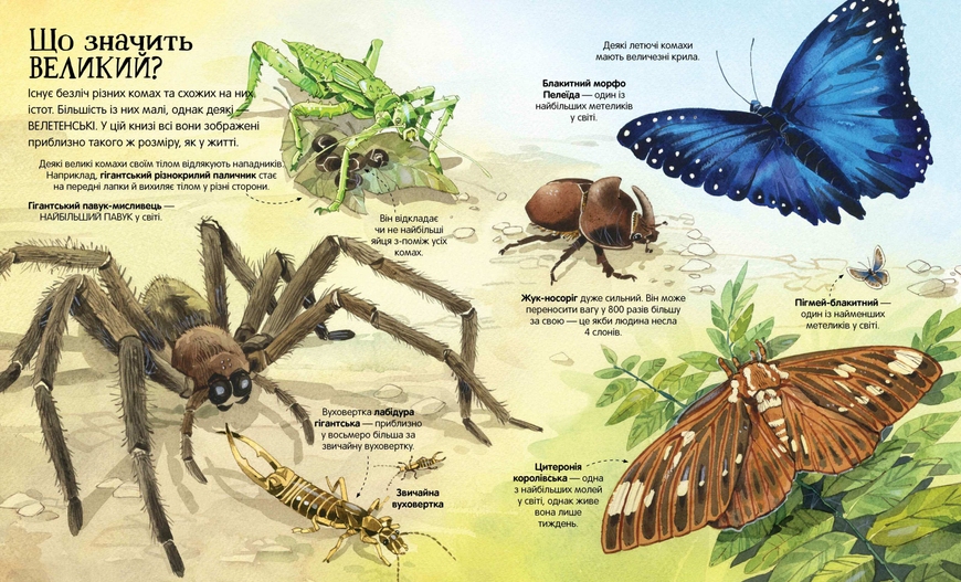 Большая книга насекомых