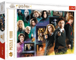 Пазл Гарри Поттер: Магический мир (1000)