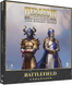 Heroes of Might and Magic III: Battlefield