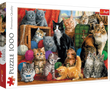 Пазл Арт колекція: Зустріч котиків (1000)